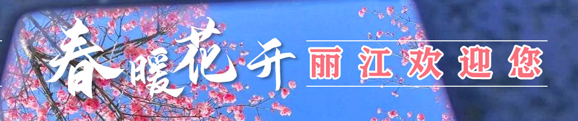 春暖花开丽江欢迎您