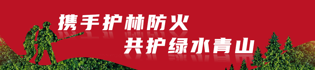 微信图片_20240305165645.jpg